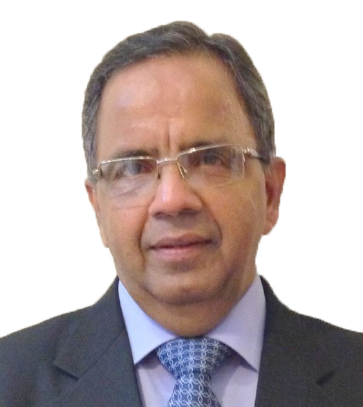 Professor Dr. Narinder Kumar Mehra
